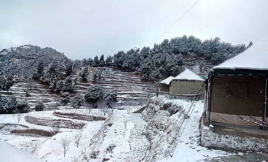 Snow Adventure Camp, Dhanaulti