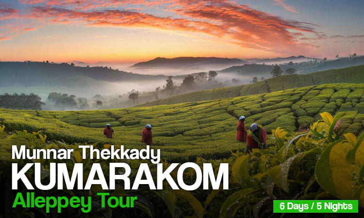 Munnar Thekkady Kumarakom Alleppey Tour