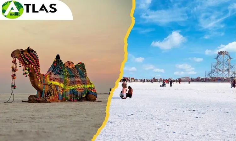 Rann of Kutch Tour Package